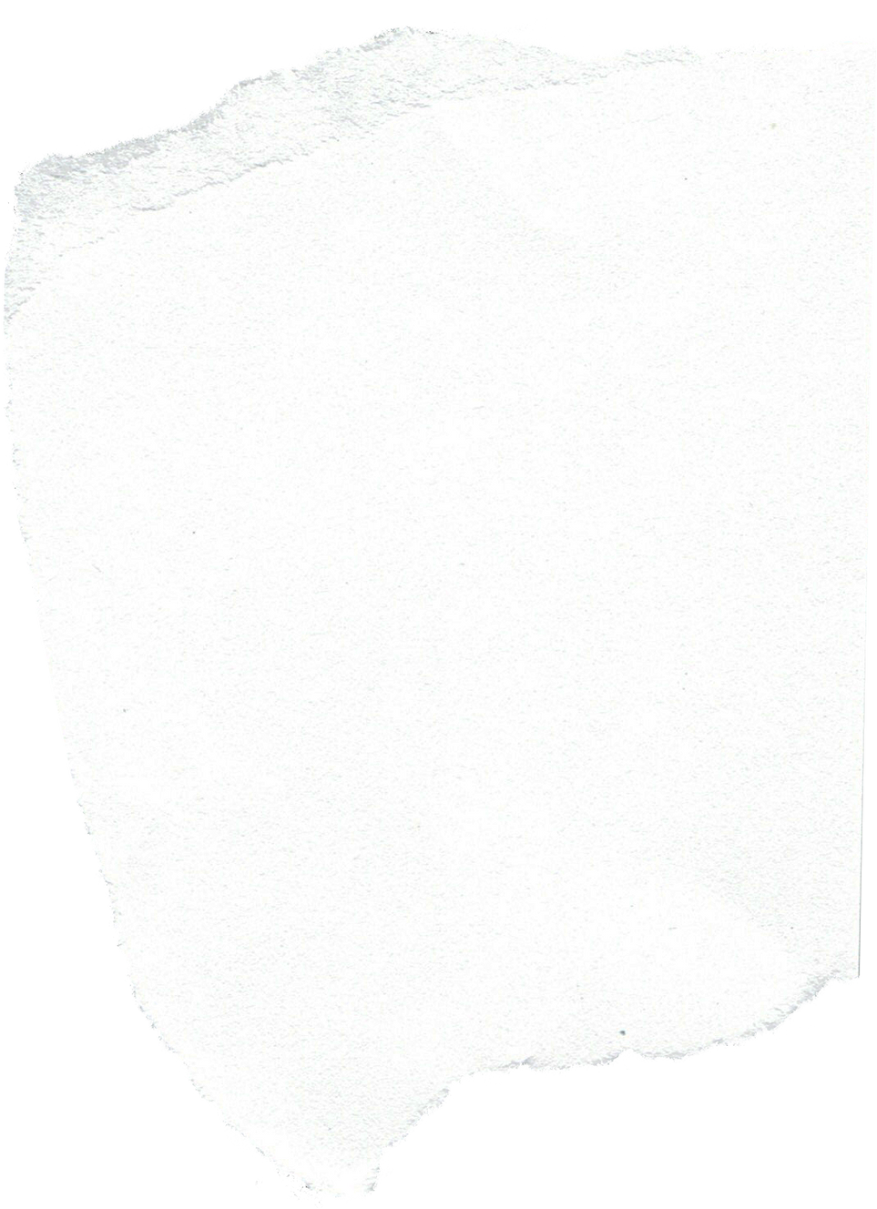 White Paper